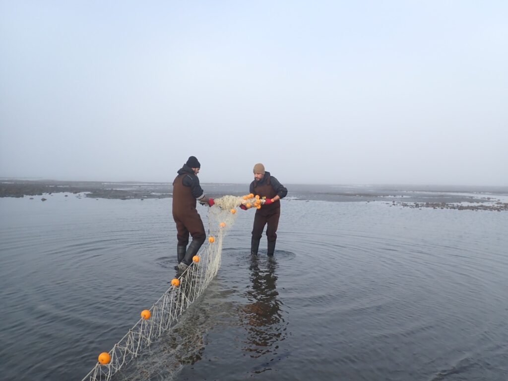 Investigadores del CADIC-CONICET, la UNTDF y Fundación Por el Mar durante una campaña en la costa de Tierra del Fuego