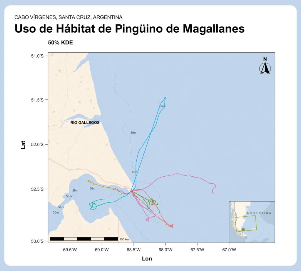 Mapa de los recorridos de pingüinos de Magallanes monitoreados con GPS en Cabo Vírgenes