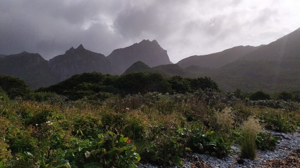 Biodiversidad de Isla de los Estados en Tierra del Fuego