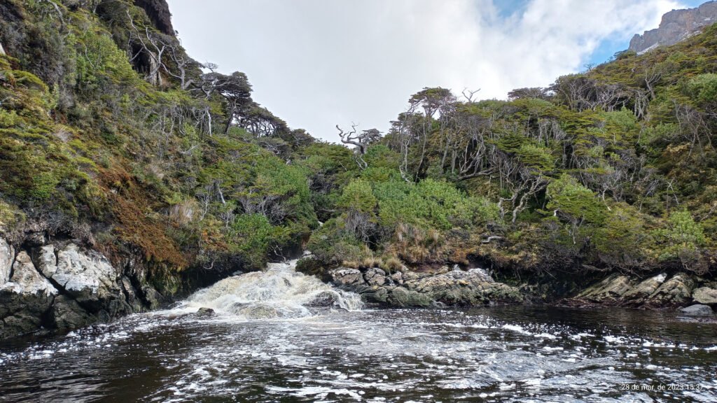 Biodiversidad de Isla de los Estados en Tierra del Fuego